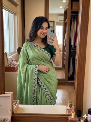 Georgette with C Pallu Embroidery Work