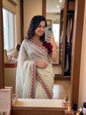 Georgette with C Pallu Embroidery Work