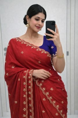 Pure Chinon Saree With Handwork