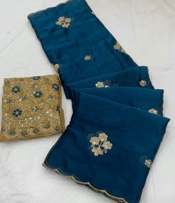 Rangoli Tissue Saree With  Multi Embroidery Work