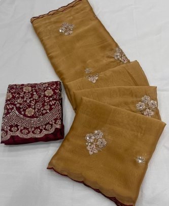 Rangoli Tissue Saree With  Multi Embroidery Work