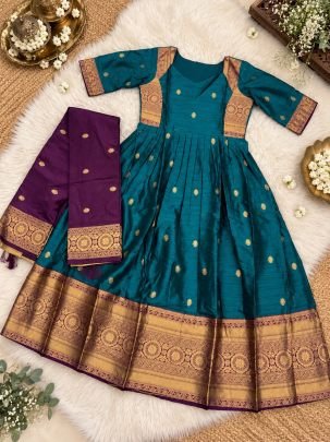 Vamika Heritage Border Anarkali Suit